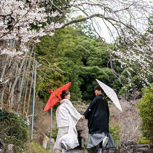 掛川のロケフォト可睡斎ギャラリー01