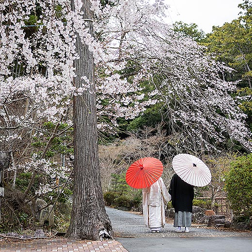 掛川のロケフォト可睡斎ギャラリー03
