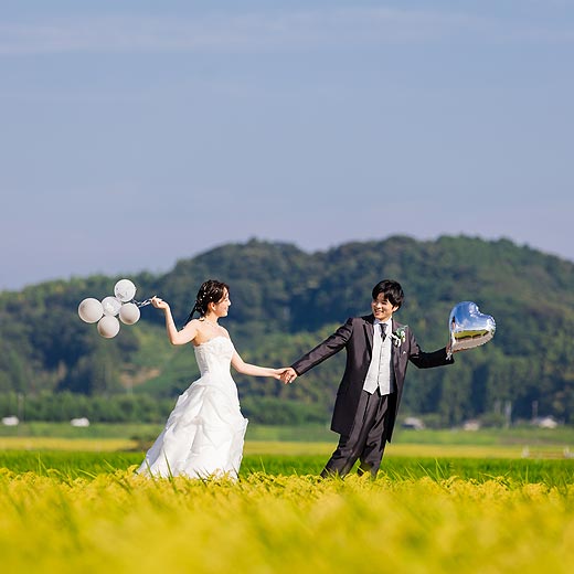 掛川のロケフォト森町とうもろこし畑ギャラリー02