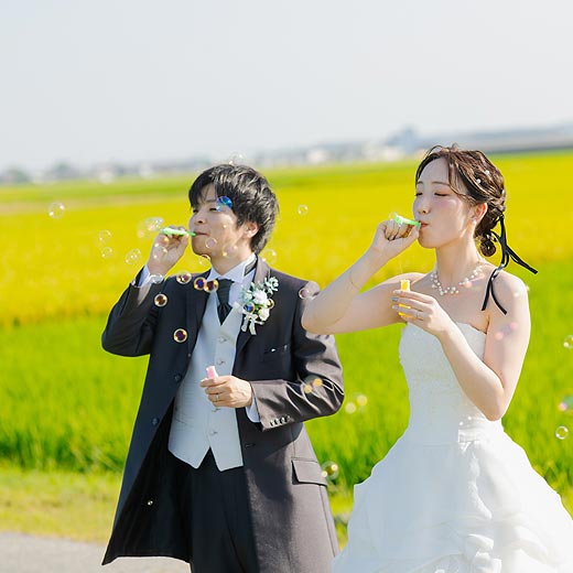 掛川のロケフォト森町とうもろこし畑ギャラリー06