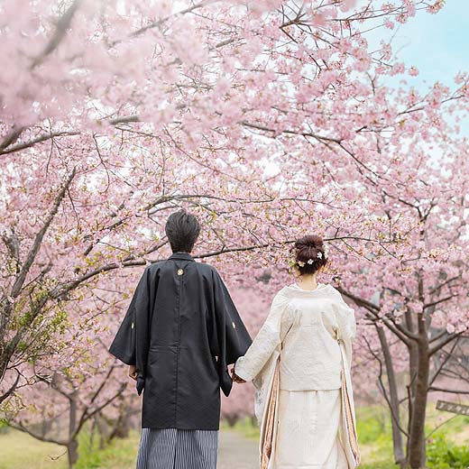 静岡のロケフォトあさはた緑地ギャラリー02