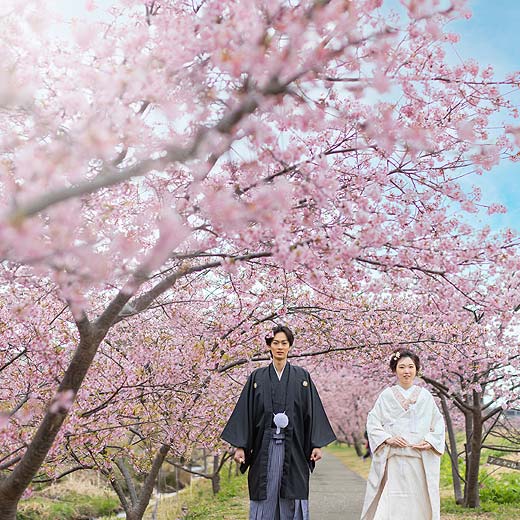 静岡のロケフォトあさはた緑地ギャラリー03