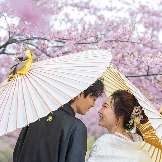 静岡のロケフォトあさはた緑地ギャラリー05