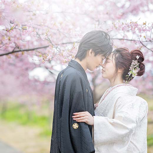 静岡のロケフォトあさはた緑地ギャラリー06