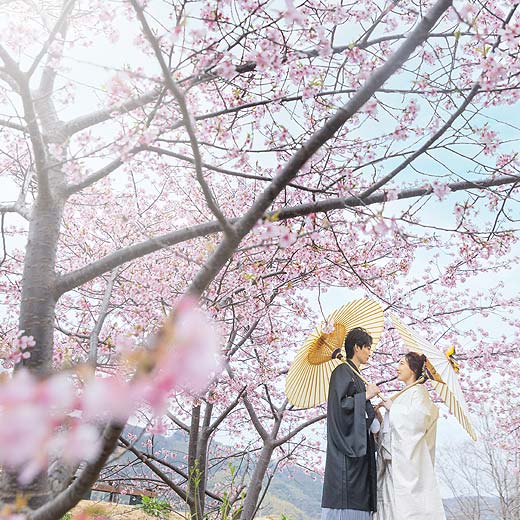 静岡のロケフォトあさはた緑地ギャラリー09