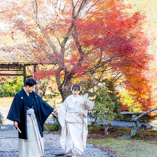 静岡のロケフォト玉露の里ギャラリー06