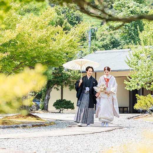 静岡のロケフォト玉露の里ギャラリー09