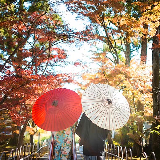 静岡のロケフォト新光明寺ギャラリー05