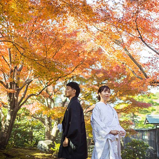 静岡のロケフォト駿府城 紅葉山庭園ギャラリー05