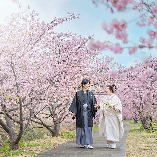 静岡フォトウエディング桜ロケーションギャラリー01