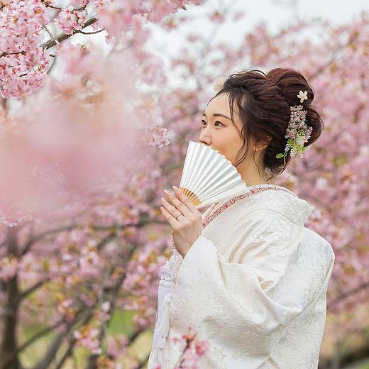 静岡フォトウエディング桜ロケーションギャラリー02