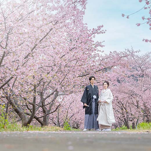 静岡フォトウエディング桜ロケーションギャラリー04