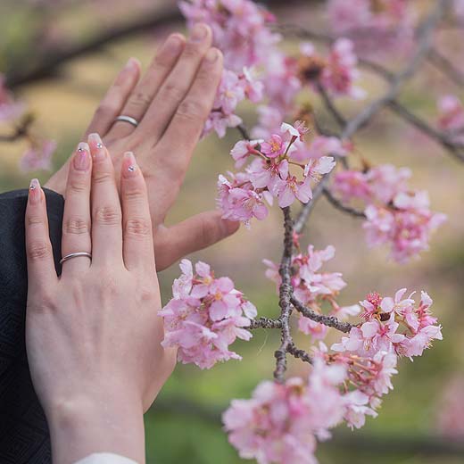 静岡フォトウエディング桜ロケーションギャラリー05