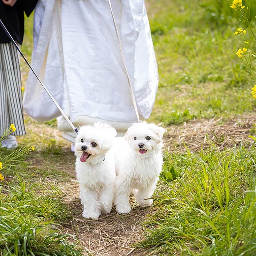 豊川のロケフォト佐奈川ギャラリー08