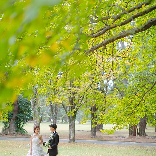 豊川のロケフォト高師緑地公園ギャラリー08
