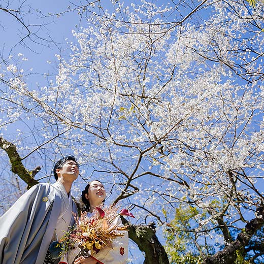 豊川のロケフォト豊橋公園ギャラリー01