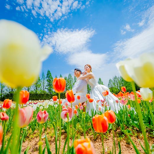 広島のロケフォト世羅高原農場ギャラリー02